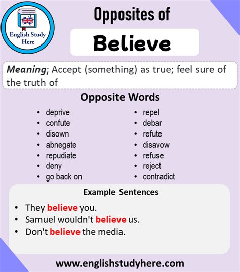 antonyms for believe